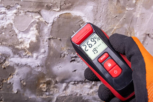 Best Mold Testing  in Rathdrum, ID
